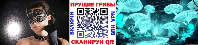 omg вход  Череповец  Псилоцибиновые грибы ЛСД 